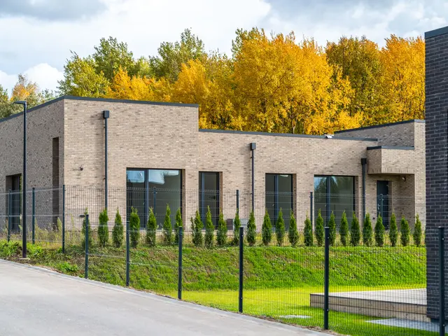 Šviesaus klinkerio fasadas ir gyvatvorė
