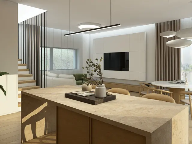 Virtuvė su sala ir valgomasis